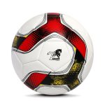 soccerBall-6